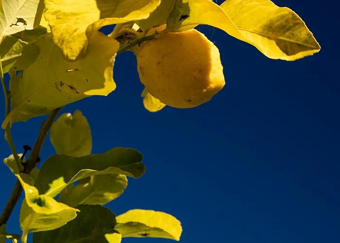 Casaceciliamare Vakantiehuis *