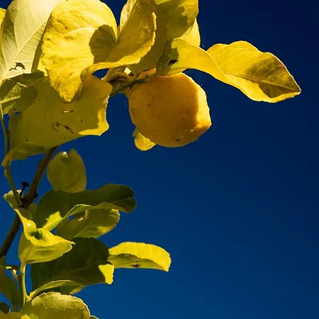 Casaceciliamare Dom wakacyjny *